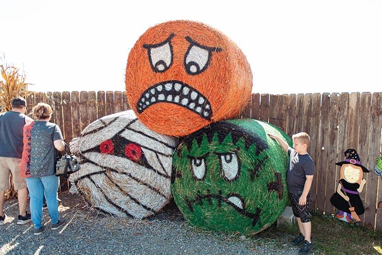 Pumpkin faces made out of straw at the Pumpkin Palooza